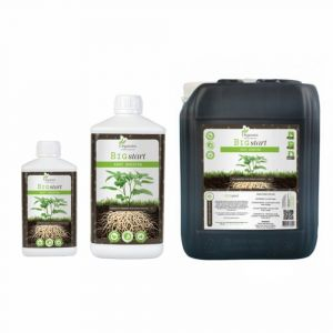 Organics Nutrients Big Start 10L